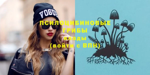 2c-b Новозыбков