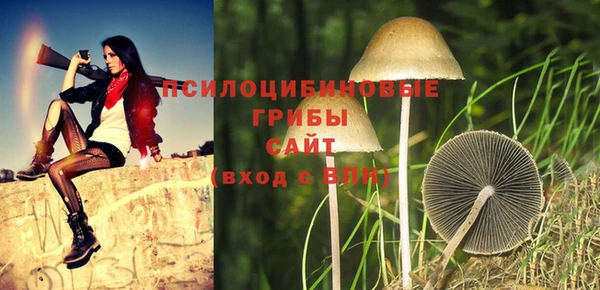 стафф Алзамай