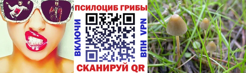 Галлюциногенные грибы прущие грибы Алупка